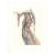 Original engraving from Salvador Dalí’s "The Divine Comedy" published by Editions d’Art Les Heures Claires, Paris, in...