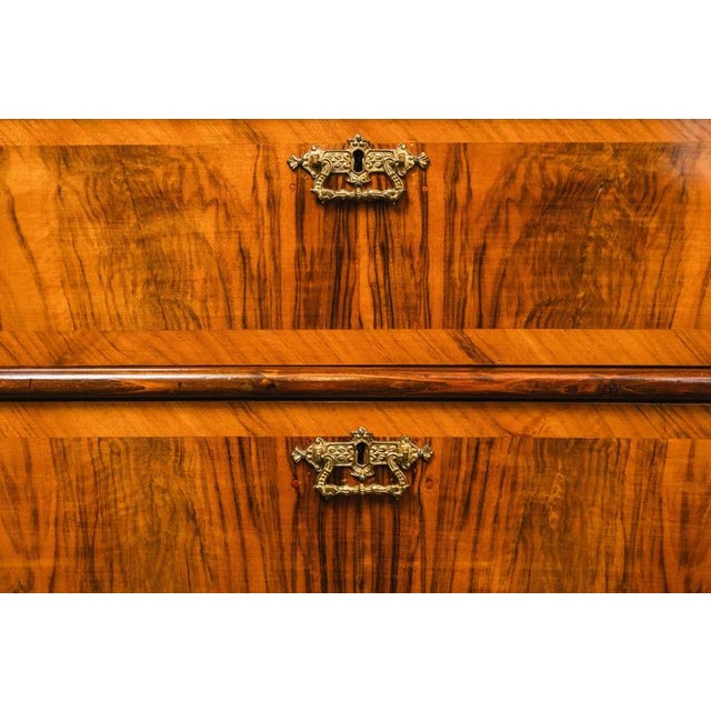 Tall Antique Gründerzeit Chest of Drawers, Late 19th Century For Sale - Image 18 of 18