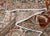 Textile Turkish Vintage Rug 8'5" x 12'2" #16871 For Sale - Image 7 of 8
