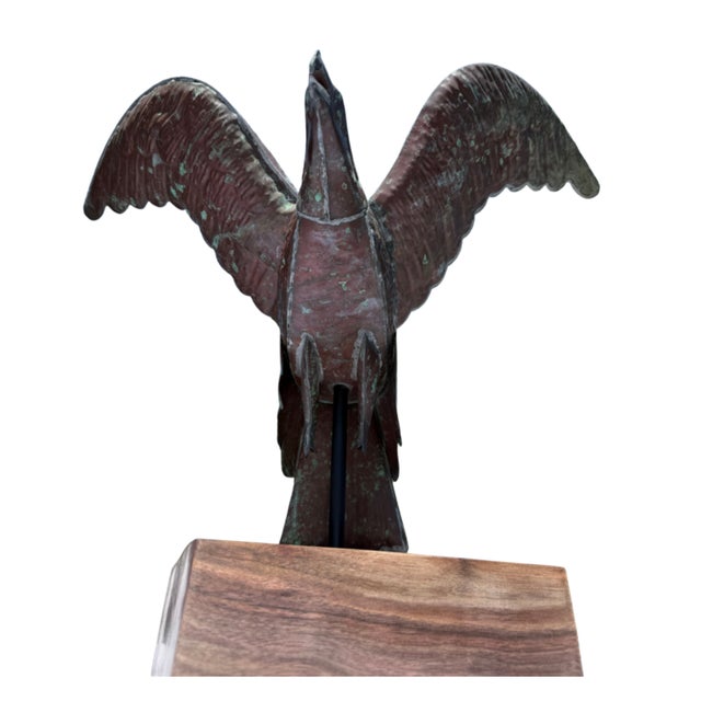 19th Century Copper Eagle Weathervane, New England Folk Art, Ca. 1890–1910, 22″ Wingspan For Sale - Image 6 of 6