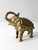 Antique cast iron elephant bank with a worn gilt finish. This whimsical piece features a classic elephant design, perfect...