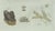Copper Bertuch, Marine Worms and Polyps, 1805, Engraving For Sale - Image 8 of 9