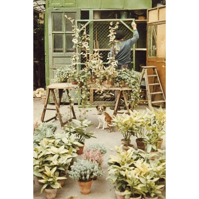 Paris Flower Market from the Paris In Colour Series 1956-61 By Peter Cornelius 40 x 30 inches / 101 x 76 cm paper size...