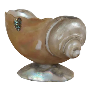 Antique Mother of Pearl Nautical Nautilus Sea Shell Trinket