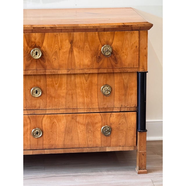 Biedermeier Early 19th Century Biedermeier Commode For Sale - Image 3 of 11