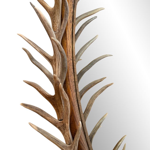 Whitetail Deer Antler Framed Mirror For Sale - Image 9 of 11