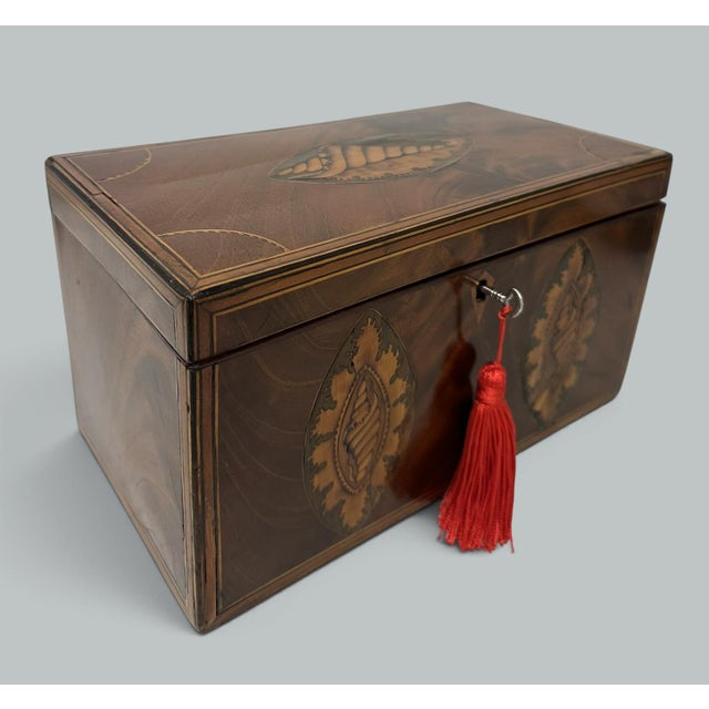 Late 18th Century Antique Georgian Mahogany Satinwood Inlaid Jewelry Cigar Conch Shell Casket Box For Sale - Image 5 of 9