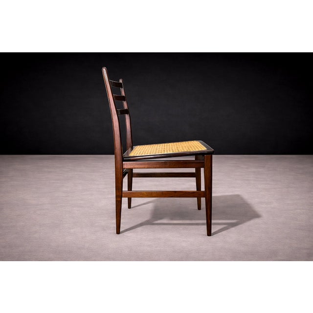 Chair in Rosewood & Cane, Alexandre Rapoport, 1960s For Sale - Image 9 of 12
