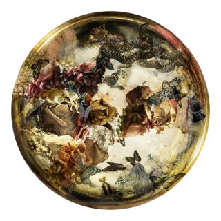 Renata Kudlacek, Tales of Telomeres II, 2017 For Sale