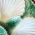 1920s Antique French Faïence Longchamp Majolica Oyster Plate | Green Basket Weave | Circa 1920s For Sale - Image 5 of 5
