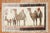 Mid 20th century colrufl Turkish rug depicting camel and donkeys on an ivory ground. The striation of colors on 1 end is...