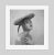 Girl In A Hat 1951 by Toni Frissell Fashion shoot featuring sun hats, 1951 Antoinette Frissell Bacon (March 10, 1907 –...
