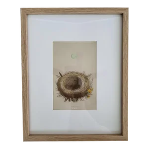 Framed 1855 Antique Whinchat Birds Nest Woodblock Print