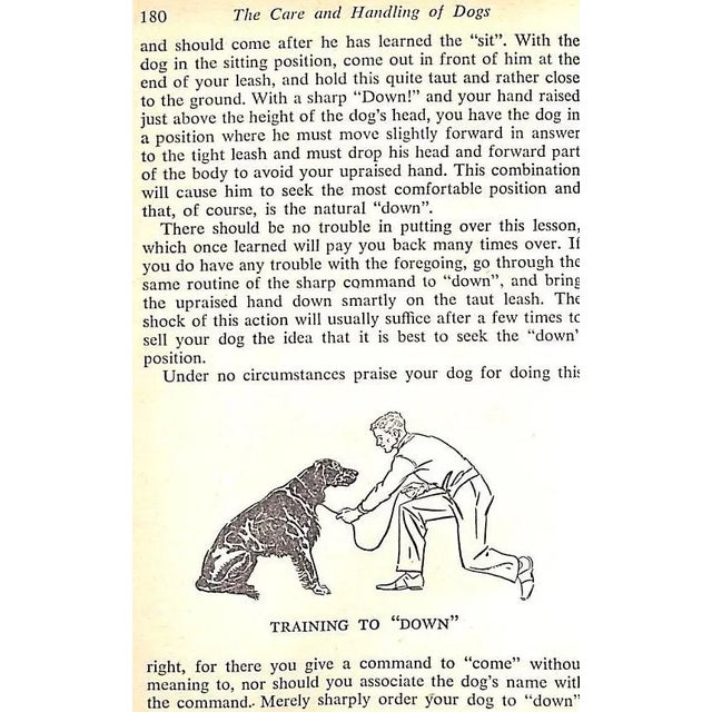 "The Care and Handling of Dogs" 1950 Baird, Jack For Sale - Image 11 of 12
