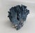 Designer Size Natural Blue Coral Specimen For Sale - Image 4 of 7