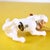 Bone China Ceramic Dog Figurine from Royal Doulton For Sale - Image 5 of 7