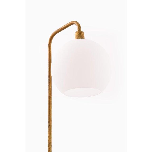 Floor Lamp in Brass and Opaline Glass, 1950s For Sale - Image 3 of 8