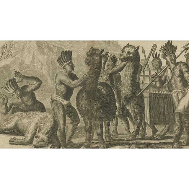 Arnoldus Montanus, Peruvian Llamas, 1671, Engraving For Sale - Image 6 of 10