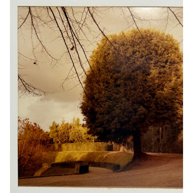 1970s Mitch Epstein, Mitchell Epstein Signed Vintage Color Photograph C Print Photo Florence Italy, 1977 For Sale - Image 5 of 12