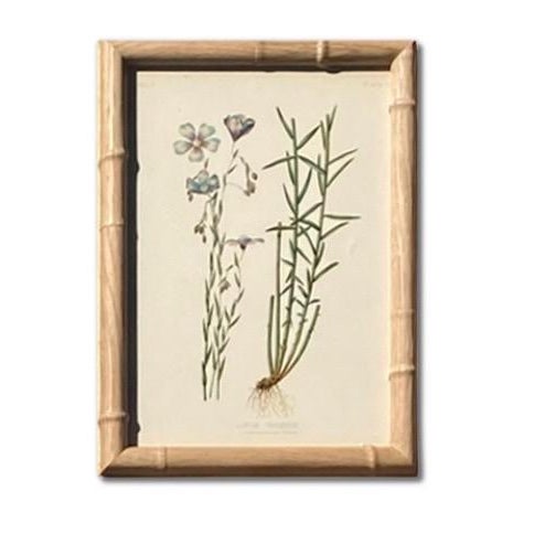 Antique Botanical Chromolithographs — “Wild Flowers of America”, Volume I, L. Prang & Co., Boston (C. 1877) Set of 13 For Sale In Los Angeles - Image 6 of 17
