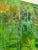 Vibrant Green Abstract Painting For Sale - Image 10 of 12