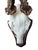 Roe Deer Trophy 155 Black Forest Antlers For Sale - Image 4 of 5