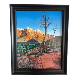Red Rock Vista Origenal Oil Painting by Steve Schaaf For Sale