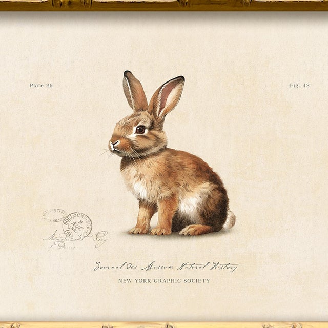 Illustration Reproduction Vintage "Garden Friends" Art Print (10), Framed Bunny For Sale - Image 3 of 6