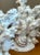 Nautical Vintage Shell Encrusted Faux Coral Table Lamps - Pair For Sale - Image 3 of 12