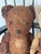 Shabby Chic Cute Antique Teddy Bears Collection With Bench For Sale - Image 3 of 9