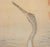 Textile Meiji Era "Cranes and the Sun", Japanese Silk Scroll Painting For Sale - Image 7 of 18