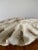 Mid 20th Century Giant Faux Clam Shell For Sale - Image 4 of 8