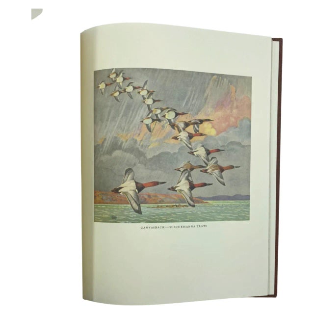 1990s Vintage an Artist's Game Bag Lynn Bogue Hunt Derrydale Press Book LTD Ed 1990 For Sale - Image 5 of 12