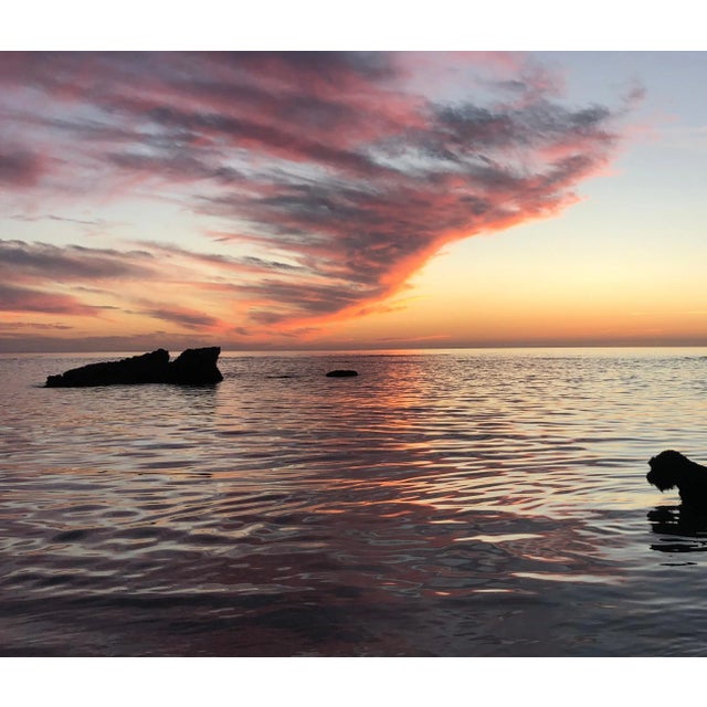 This beautify color photography was taken in Israel near Caesarea. It was not filtered, manipulated or color corrected,...