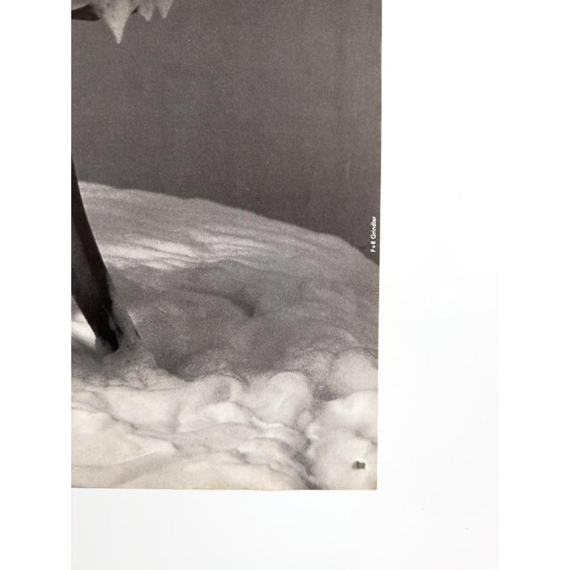 The Fish Original Vintage Poster by Frieder & Renate Grindler, 1968 For Sale - Image 10 of 11