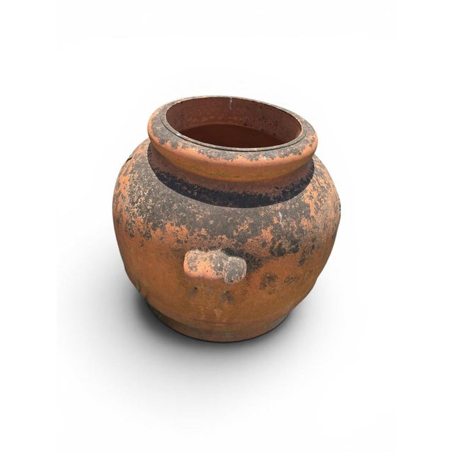 Italian Terracotta Grain Storage Jar, 1950s For Sale - Image 6 of 7