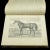 Early 20th Century 1900's Antique Book Modern Practical Farriery For Sale - Image 5 of 10