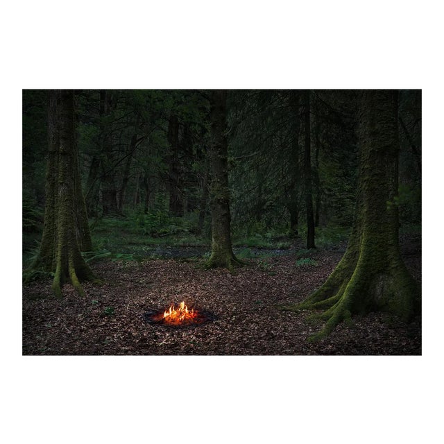 Fires 5, Ellie Davies, British, Photography, 2018 For Sale