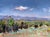 This oil painting captures a serene landscape in Bow Mar, Colorado, featuring a vibrant sky punctuated by wispy clouds....