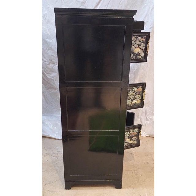 Vintage Korean Mother-of- Pearl Inlaid Apothecary Cabinet/Tall Chest For Sale - Image 4 of 11