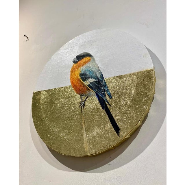 Anastasia Gklava, Eurasian Bullfinch, Orange & Black Bird Composition, Painting with Gold Leaf on Round Canvas, 2025 For Sale - Image 17 of 18