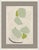 Paper Fight, Botanic, New Growth, Stroll, Prarie and Stepping Stones by Susan Hable For Sale - Image 7 of 8