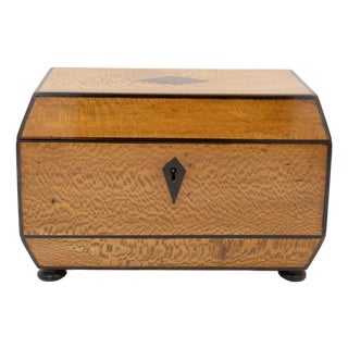 Early 19th Century Solid Lacewood Box With Campaign Handles For Sale