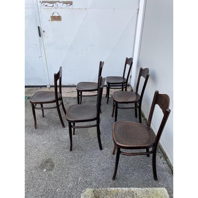Beech Wood Dining Chairs by Jacob & Josef Kohn, Set of 6 For Sale - Image 6 of 14