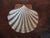 18th Century Chinese Export Famille Rose Porcelain Scallop Shell Shape Bowl For Sale In New York - Image 6 of 11