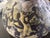 Vase by Gustav Sporri for Ziegler Schaffhausen, Switzerland, 1959 For Sale - Image 6 of 9