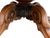 Vintage Estate Burl Walnut Wood Large Oval Low Coffee Table For Sale - Image 14 of 15