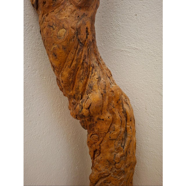 Female Sculpture Carved from a Tree Stump, 20th Century, 1960s, Wood For Sale - Image 4 of 7