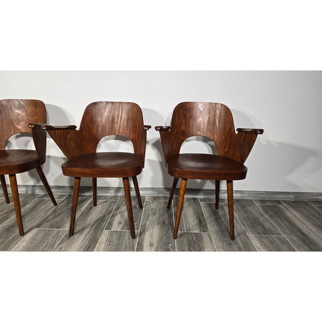 Dining Chairs by Oswald Haerdtl for Ton, 1950s, Set of 4 For Sale - Image 12 of 18