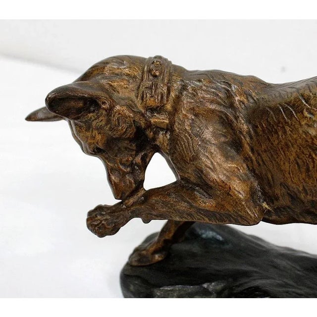 Brown T.F. Cartier, German Shepherd Dog, Early 20th-Century, Bronze For Sale - Image 8 of 18